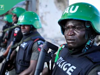 BREAKING: Anxiety As Terrorists Set Govt Lodge, Vehicles on Fire in Yobe Community, Details Emerge