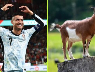 Guinness World Records Appear to Crown Cristiano Ronaldo As GOAT After 900 Career Goal