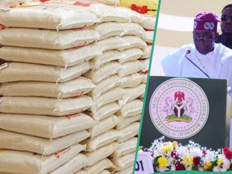 How to Get Federal Government's 50Kg Bag of Rice at ₦40k