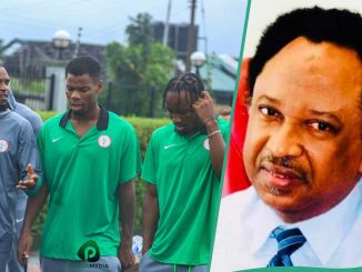 Nigeria vs Benin: Shehu Sani Mentions Nigerians Who Should Not Watch Super Eagles Live