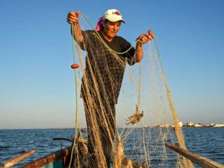 Tunisia fisherwomen battle inequality and climate change