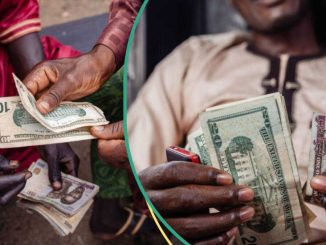 Naira Appreciates Massively Against US Dollar to New Exchange Rate