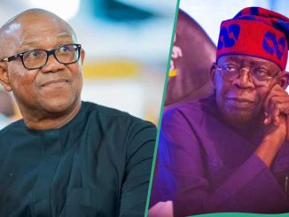 “Nigeria’s Donald Trump”: Peter Obi Slams Presidency Over Attempt to Divert Attention With US Polls