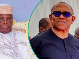 FULL LIST: Peter Obi, 5 Other Politicians Who Donated Large Sums of Money to Borno Flood Victims