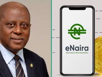 “Faster, Cheaper Payments”: CBN Speaks on Releasing eNaira Version 2.0, Lists Important Features