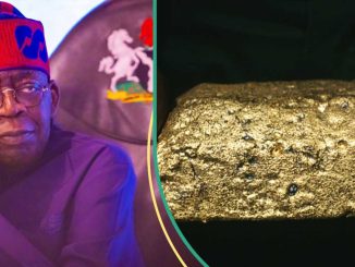 After Increasing Mining Cost, FG Shuts Down Gold Mine, Names Location