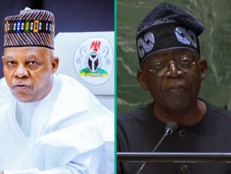 President Tinubu to Stay in Nigeria, Sends VP Shettima to Lead Nigeria at UNGA 79