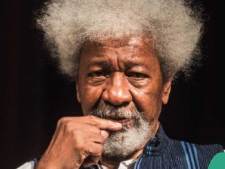 Wole Soyinka Chooses Wine Over Water: Nobel Laureate Shares His Unique Preference and Rituals