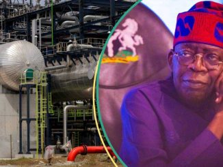 After Dangote Refinery, Foreign Investors Give Condition to Sponsor 20 Others in Nigeria