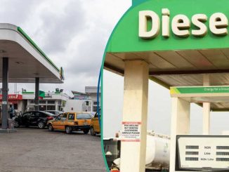 New Diesel Prices Emerge at Filling Station, 10 States the Most Expensive