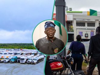 President Tinubu Makes Final Decision on Petrol Pump Price As Dangote, NNPC Disagree