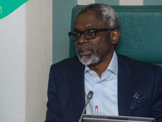 Cabinet Reshuffle: Why Gbajabiamila Is Still the Best for Tinubu’s Administration, Group Speaks