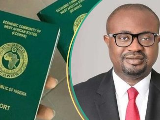 Why We Can’t Subsidise Passport Fees, Tinubu’s Minister Explains