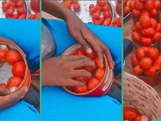 "Everybody Shine Your Eyes o": Nigerian Man Exposes Tomato Seller in Video Over Fraudulent Act