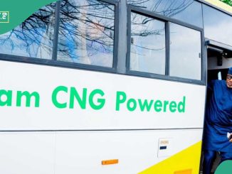 After Obi Cubana, Another Company Launches CNG-Powered Bus