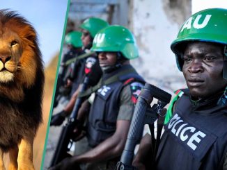 Tragedy As Lion Kills Keeper at Obasanjo Wild Life Park, Police React