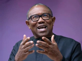 2027: I'm desperate to see Nigeria work - Peter Obi