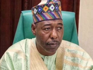 Maiduguri Flood: Boko Haram leaders may have escaped prison - Gov Zulum