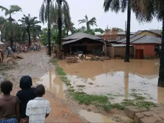 Flood claims 20 lives in Yobe, displaces 3,000