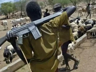 Herdsmen allegedly kill Labour Party chairman in Benue