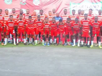 NPFL: Heartland boost squad with 30 new players