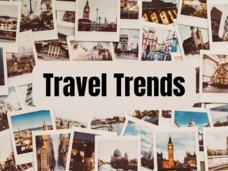 Travel Trends