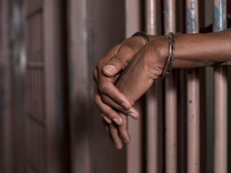 Vandal jailed two years for stealing armored cable in Adamawa