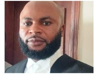 Bobrisky vs VeryDarkMan: Nigeria criminal justice administration under trial - Lawyer, Idam