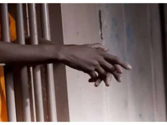 CSOs decry large number of awaiting trial inmates in Nigerian prisons