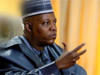 Capital market crucial to Nigeria’s trillion-dollar economy target — Shettima