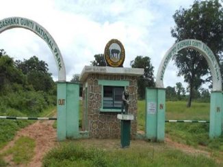 Gashaka-Gumti National Park