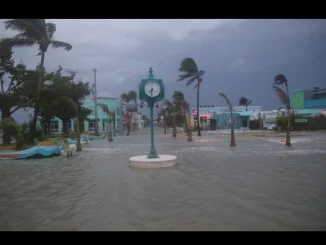 Death toll rises to 37 after hurricane Helene hits Florida