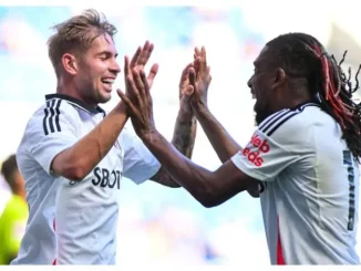 EPL: Iwobi bags assist in Fulham's win against Newcastle United