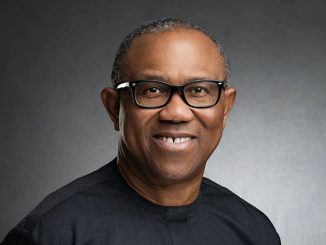 Edo election: Why Peter Obi campaigned for Akpata - Media team opens up