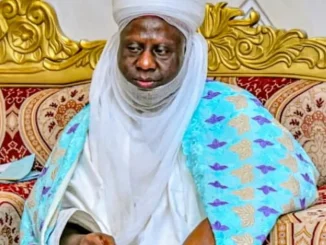 Emir Bahago of Minna denies urging President Tinubu to probe past administrations