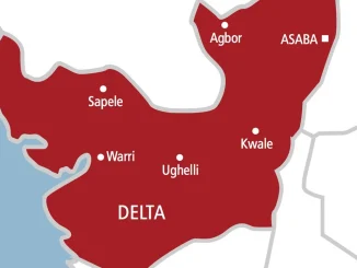 Insecurity: Delta LG bans scavenging