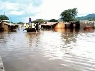 Kano donates N100m to Borno govt, flood victims