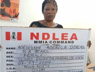 NDLEA Nabs Woman, Auto Parts Dealer Over Export Of Opioids, Cocaine