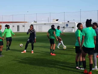 NFF appoints Madugu interim head coach of Super Falcons