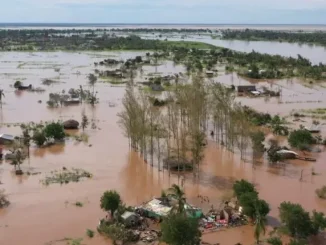 Nigerian GenCo gives Borno flood victims N100m as donations rise to N12.5bn