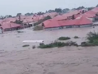 Over 1m Nigerians affected by flood, 634,035 displaced NEMA