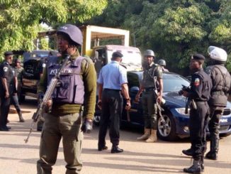 Police Arrest Man Over Alleged Killing Of Woman, Son In Lagos