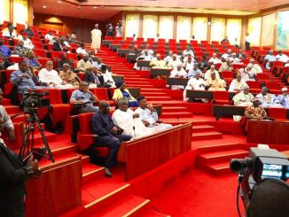 Senate Passes Bill For South West Development Commission