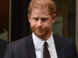 US judge rules on Prince Harry's American visa application