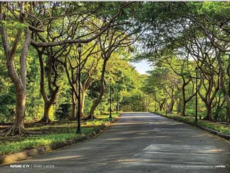 Why everyone is talking about Isimi Lagos – And why you should be too