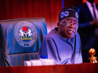 Criticism Won’t Distract Nigerians From Tinubu’s Progress – NYNP