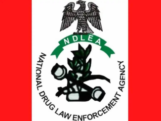 NDLEA Intercepts N17.9bn Worth Of Opioids At Lagos, PH Ports