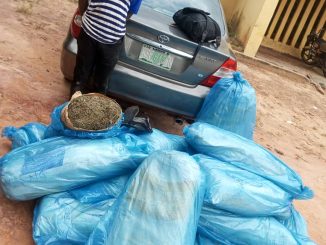 Police Arrest Suspect With 15 Bags Of Marijuana In Nasarawa