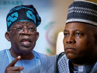 Shettima not sidelined by Tinubu - Presidency debunks reports of rift in Aso Rock