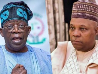 Shettima symbolises enthusiasm, vigour, affability in my govt - Tinubu